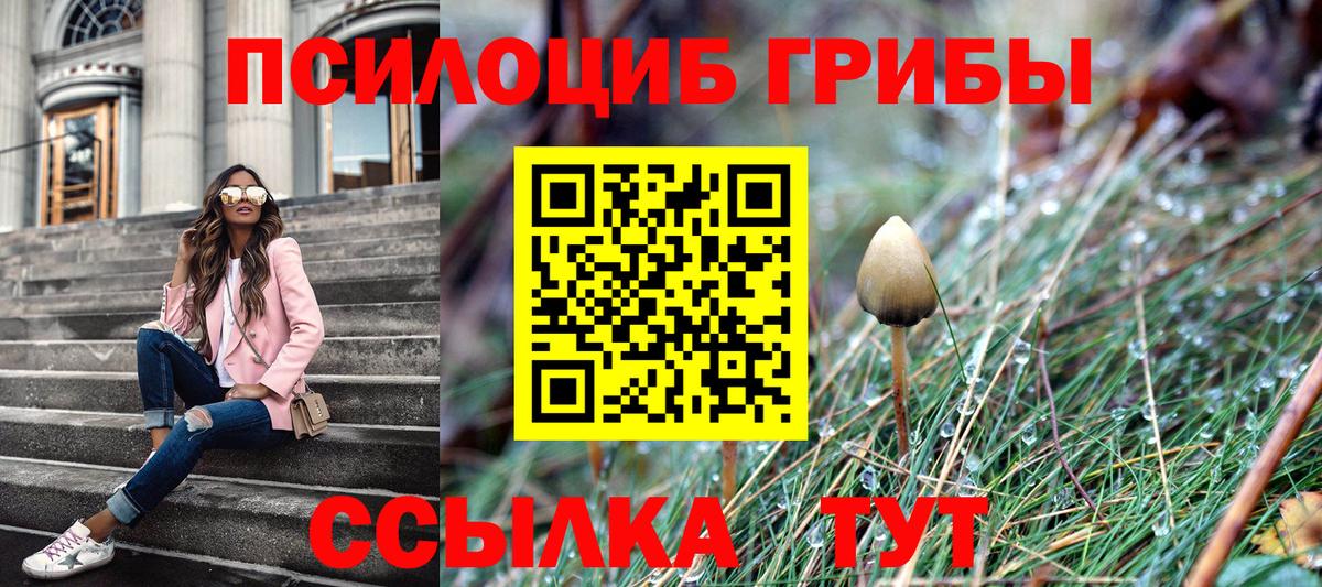 Псилоцибиновые грибы GOLDEN TEACHER Гусев