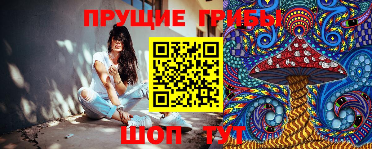 Галлюциногенные грибы мицелий  Вход с VPN  Гусев 